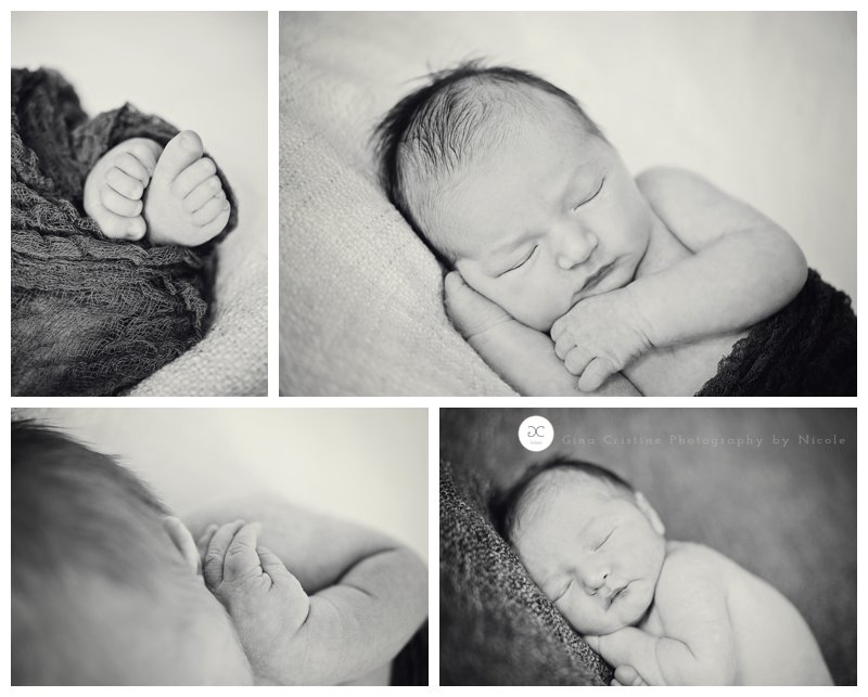 Frankfort Newborn Photographer