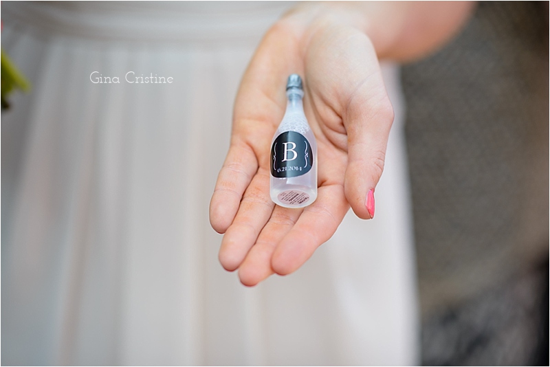 Chicago Wedding Photographer_0259