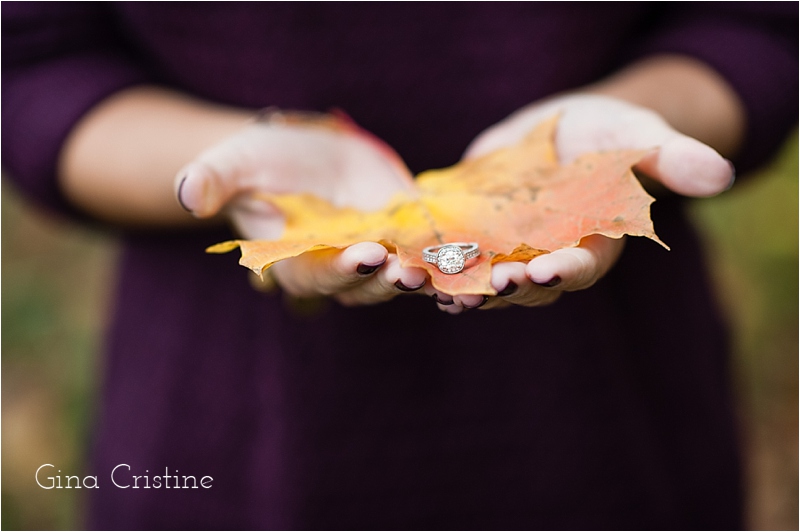 Chicago Engagement Photographer_0017