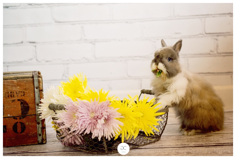Frankfort Styled Easter Mini Session_0050