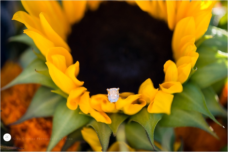 Chicago Engagement Photographer_0262