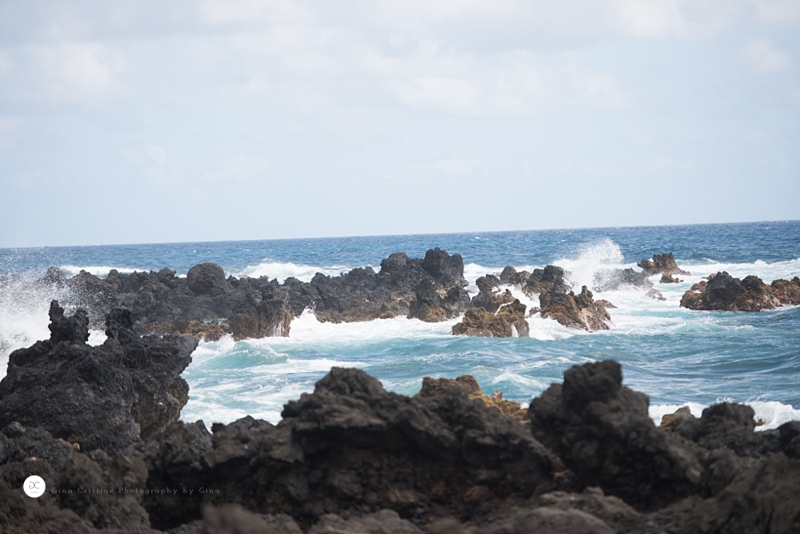 Maui Photographer_0274
