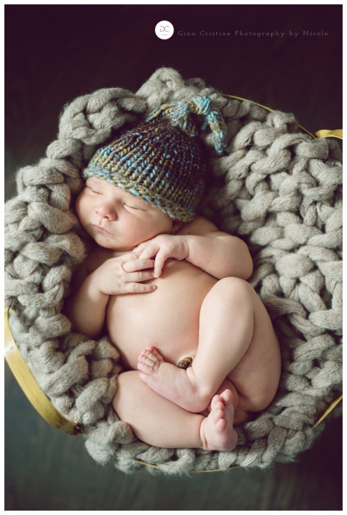 frankfort newborn photographer